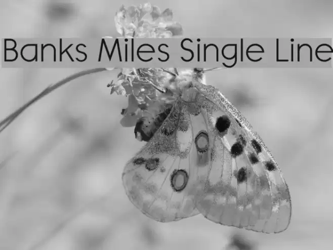 Banks Miles Single Line Caratteri examples