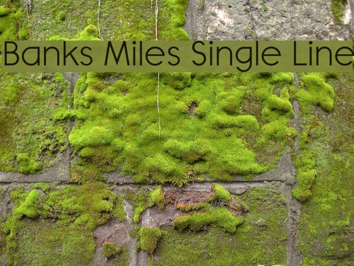 Banks Miles Single Line Font examples