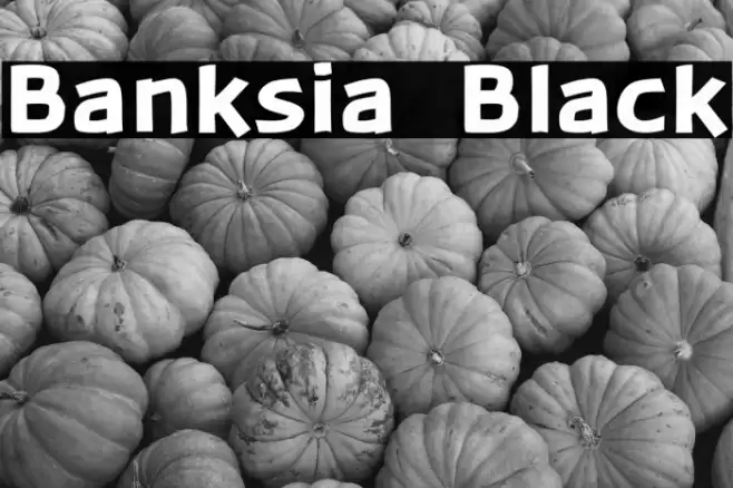 Banksia  Black Font examples