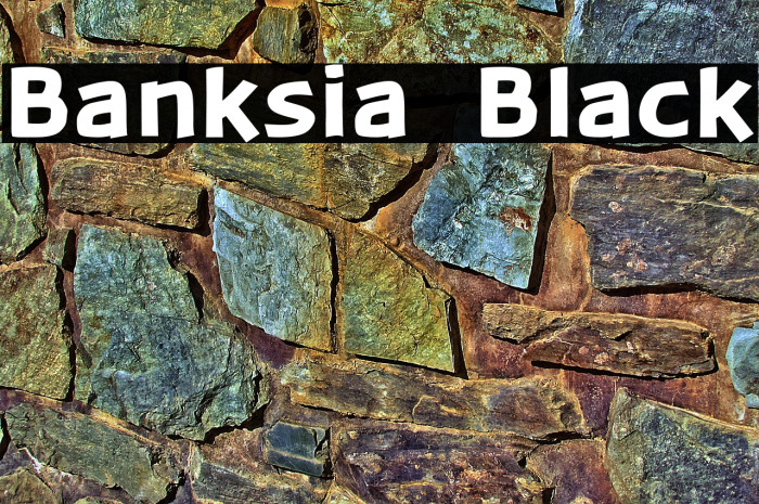 Banksia  Black Example 2