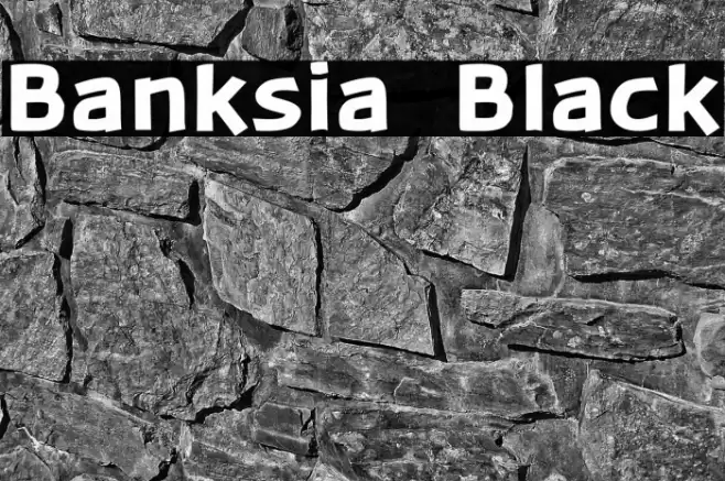 Banksia  Black Font examples