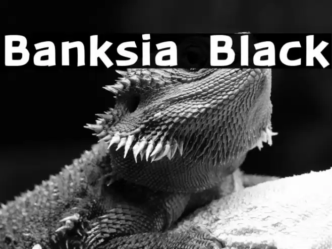 Banksia  Black Font examples