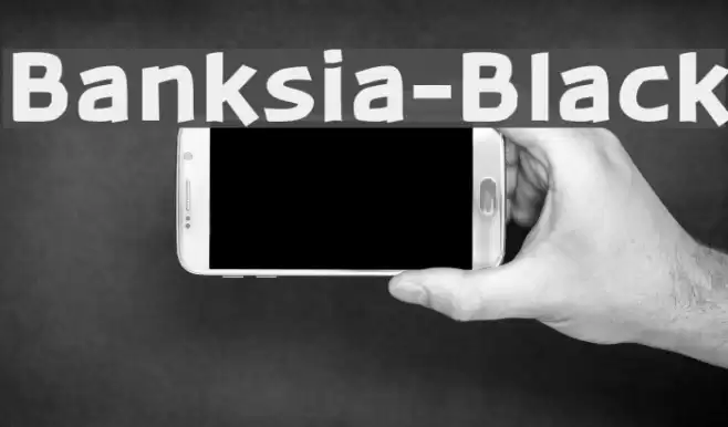 Banksia-Black Font examples