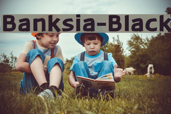 Banksia-Black Polices examples