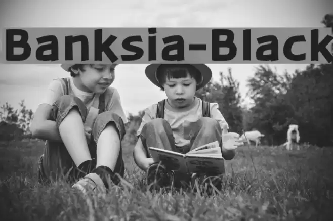 Banksia-Black Font examples