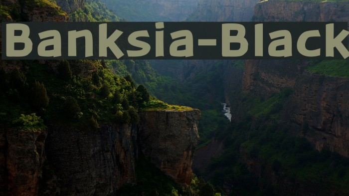 Banksia-Black Polices examples