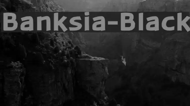 Banksia-Black Font examples
