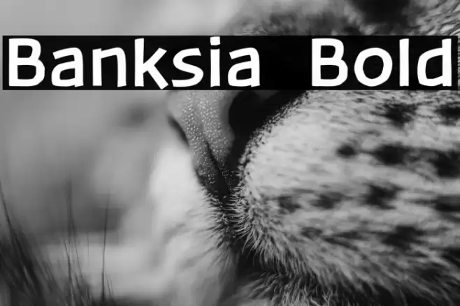Banksia  Bold Font examples