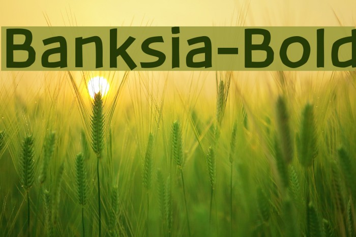 Banksia-Bold Font examples