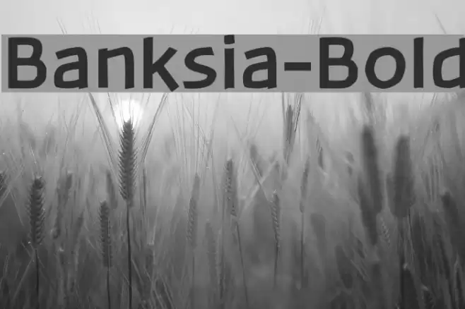 Banksia-Bold Font examples
