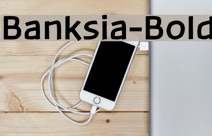 Banksia-Bold Font examples