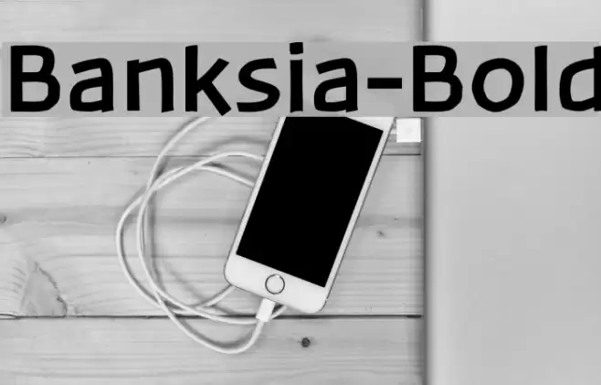 Banksia-Bold Font examples