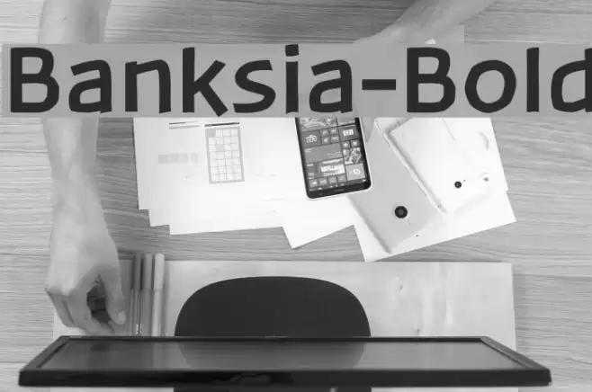 Banksia-Bold Font examples