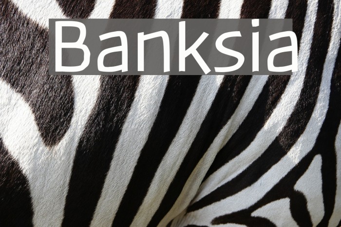 Banksia Font examples