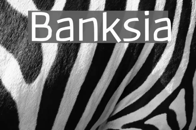 Banksia Example 1