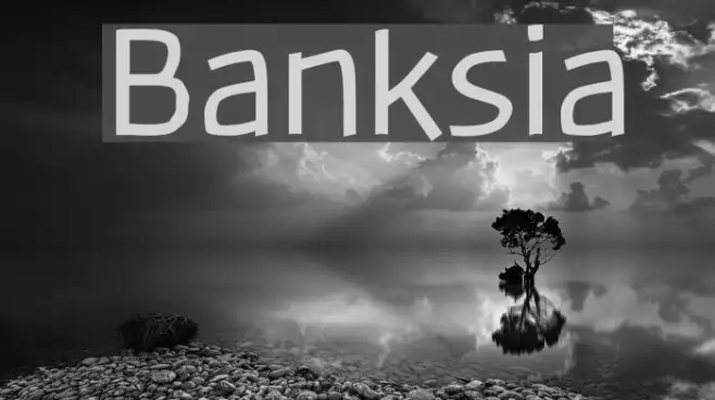 Banksia Example 2