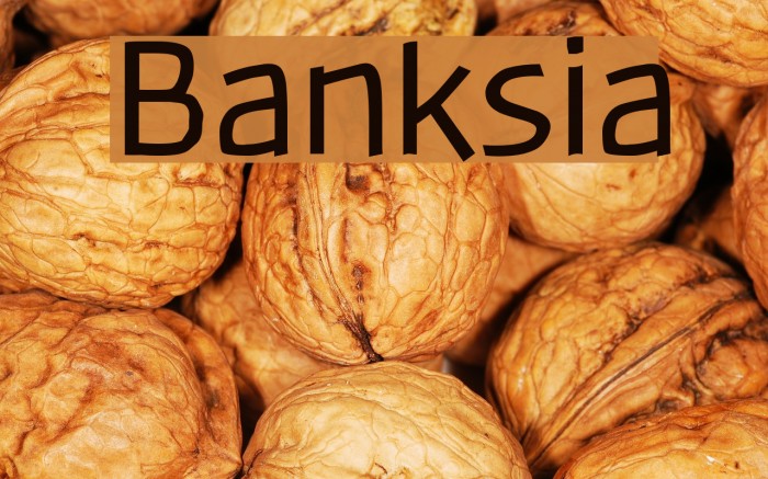 Banksia Font examples