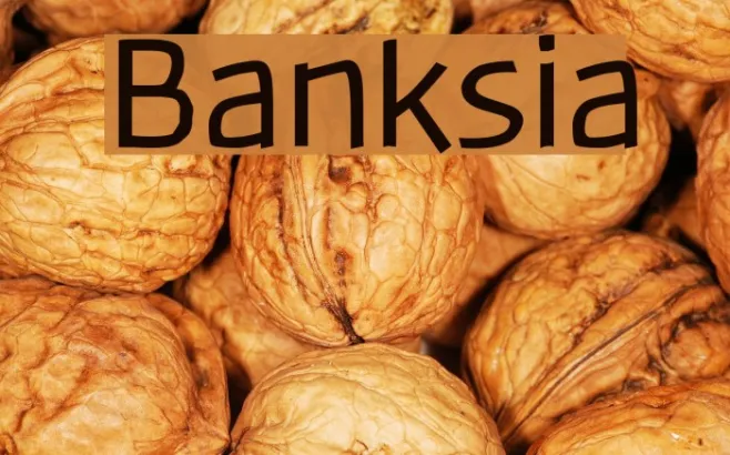 Banksia Example 3