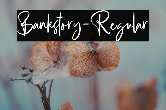 Bankstory-Regular Example 2