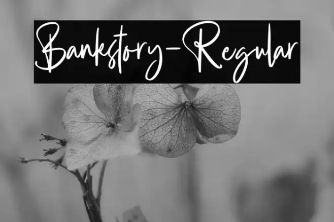 Bankstory-Regular Caratteri examples