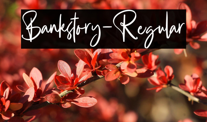 Bankstory-Regular Example 3