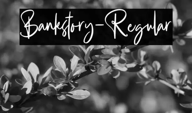 Bankstory-Regular Caratteri examples