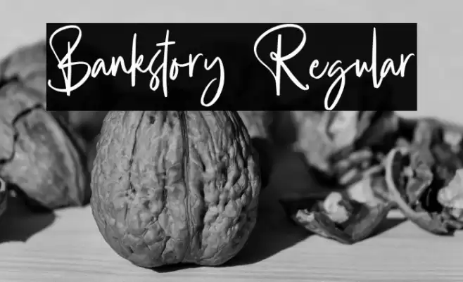 Bankstory Regular Font examples