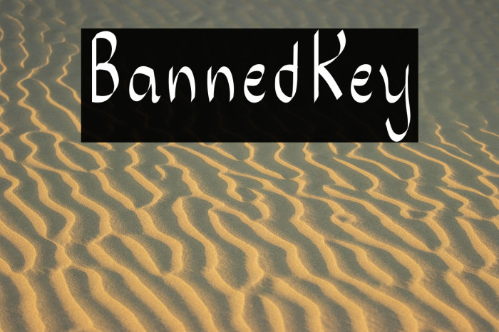 BannedKey Example 2