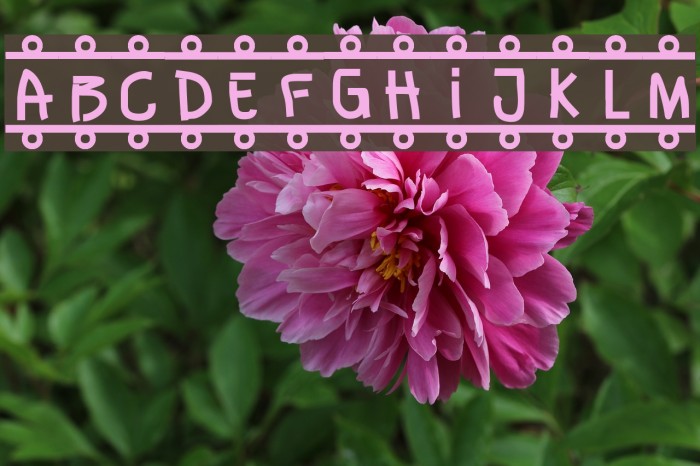 Banner Шрифта examples
