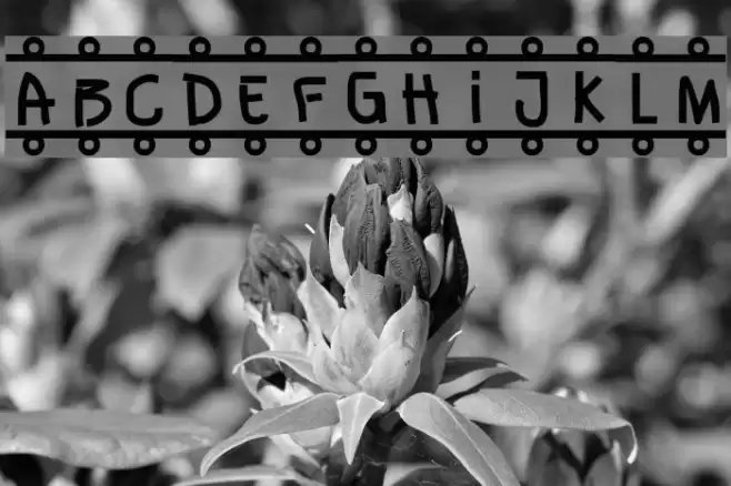 Banner フォント examples