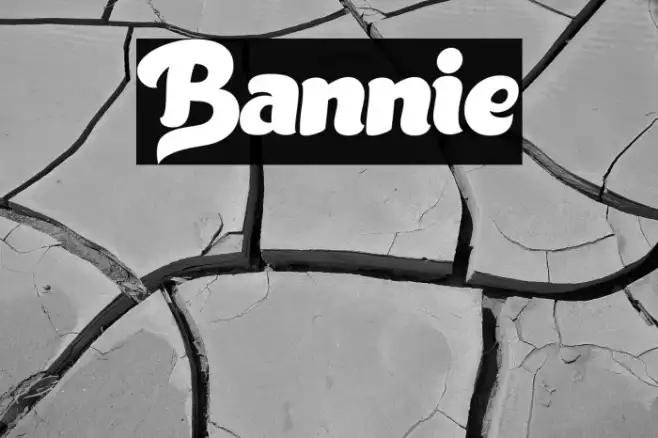 Bannie Example 1