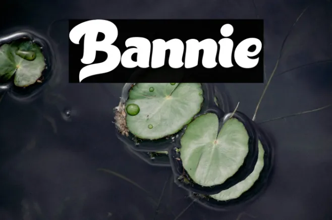 Bannie Example 2