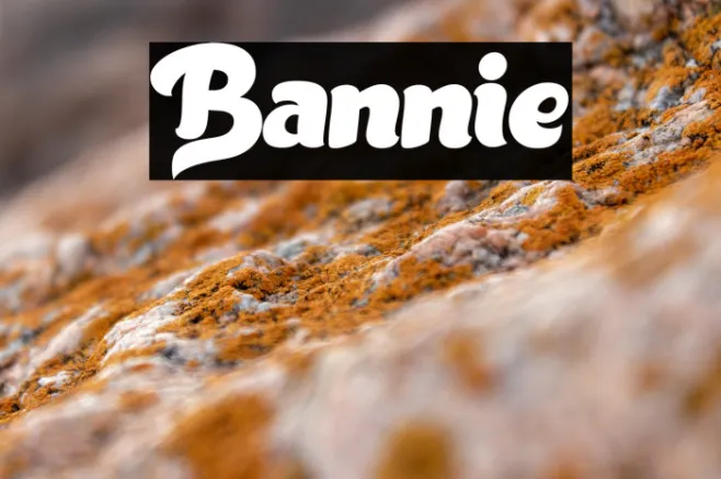 Bannie Example 3