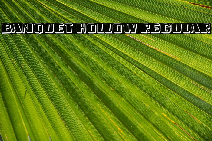 Banquet Hollow Regular Example 2