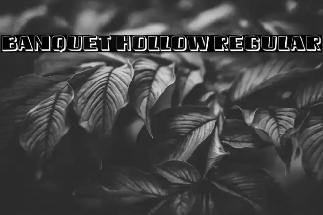 Banquet Hollow Regular Font examples