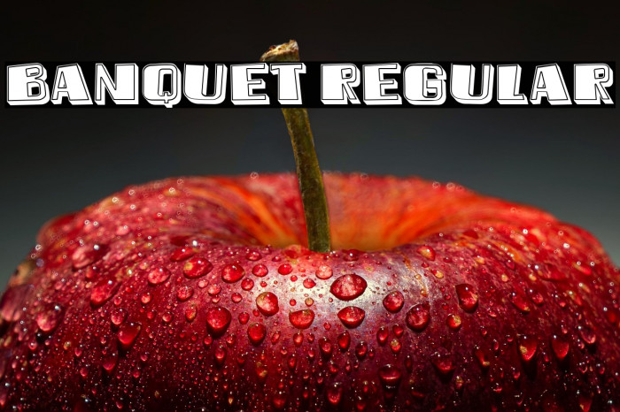 Banquet Regular Example 1