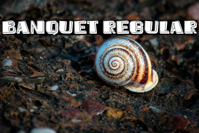 Banquet Regular Example 3