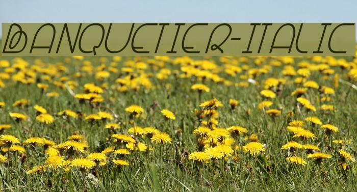 Banquetier-Italic Example 2