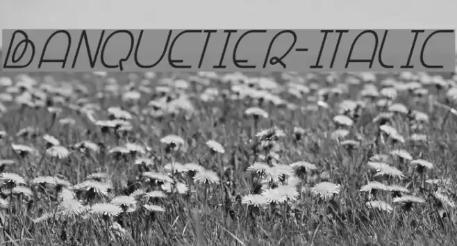 Banquetier-Italic Font examples