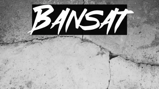 Bansat Polices examples