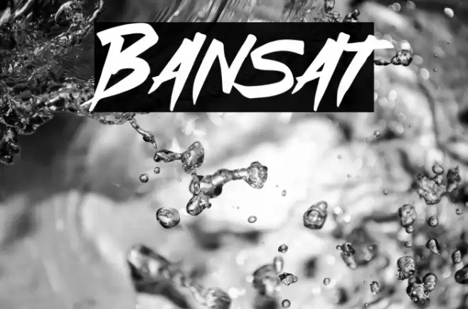 Bansat Polices examples