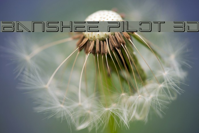 Banshee Pilot 3D Font examples