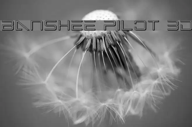 Banshee Pilot 3D Example 3