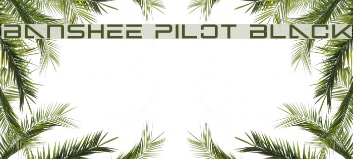 Banshee Pilot Black फ़ॉन्ट examples