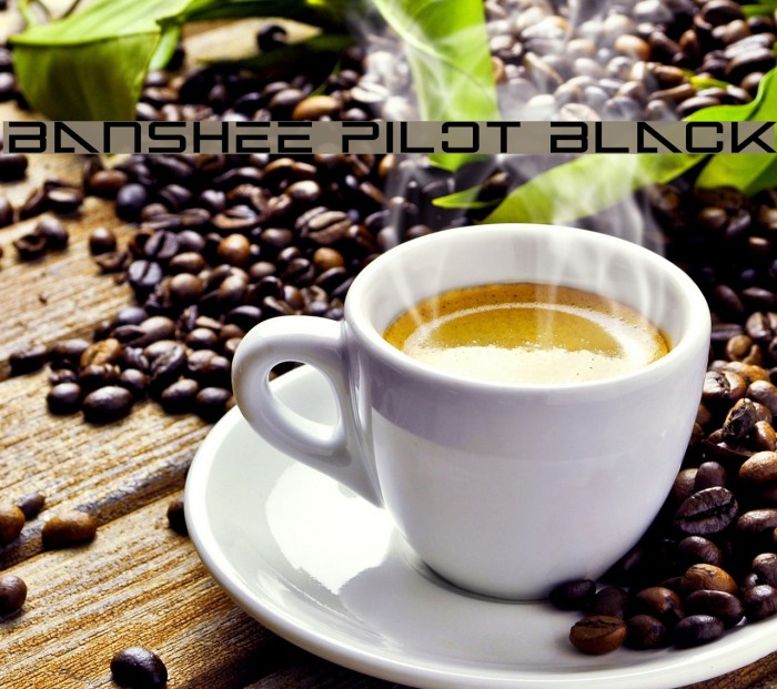 Banshee Pilot Black फ़ॉन्ट examples