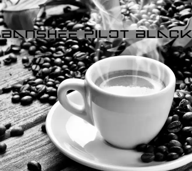 Banshee Pilot Black Font examples
