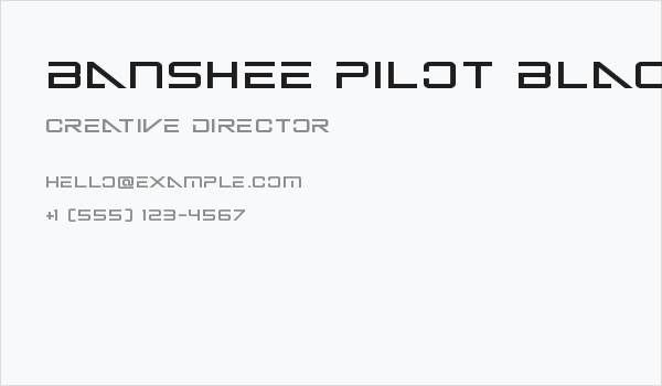 Banshee Pilot Black Business Card