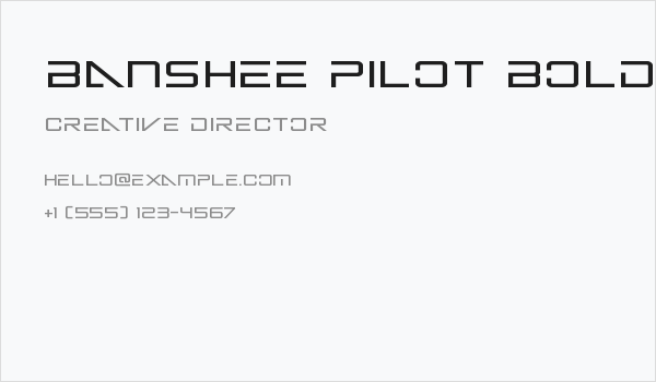Banshee Pilot Bold Business Card