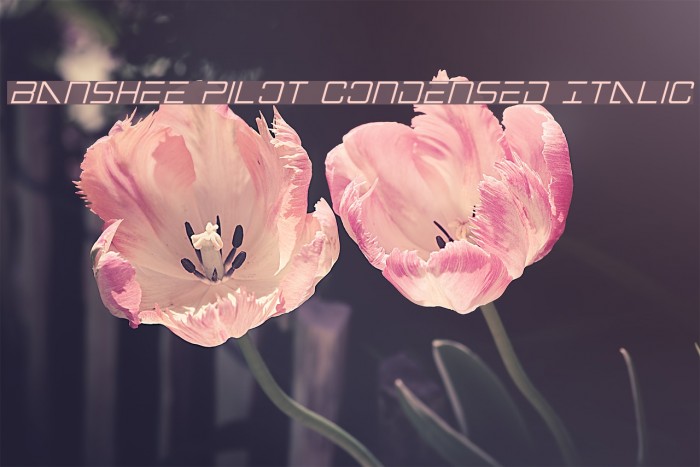 Banshee Pilot Condensed Italic Font examples