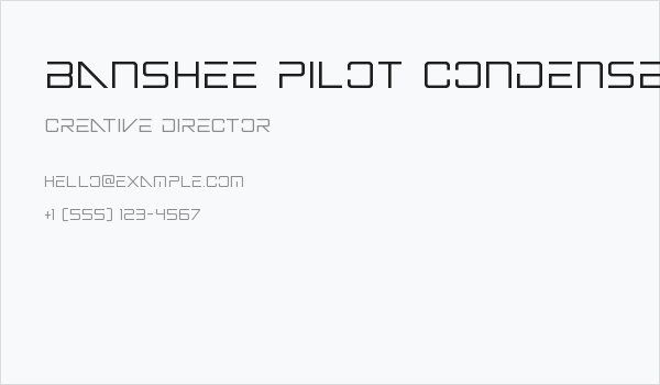 Banshee Pilot Condensed Business Card